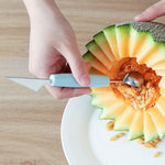 2 In 1 Melon Scoop Knife