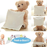 Peek a Boo Plush Teddy Bear