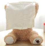 Peek a Boo Plush Teddy Bear