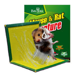 Mouse Catcher Glue Trap